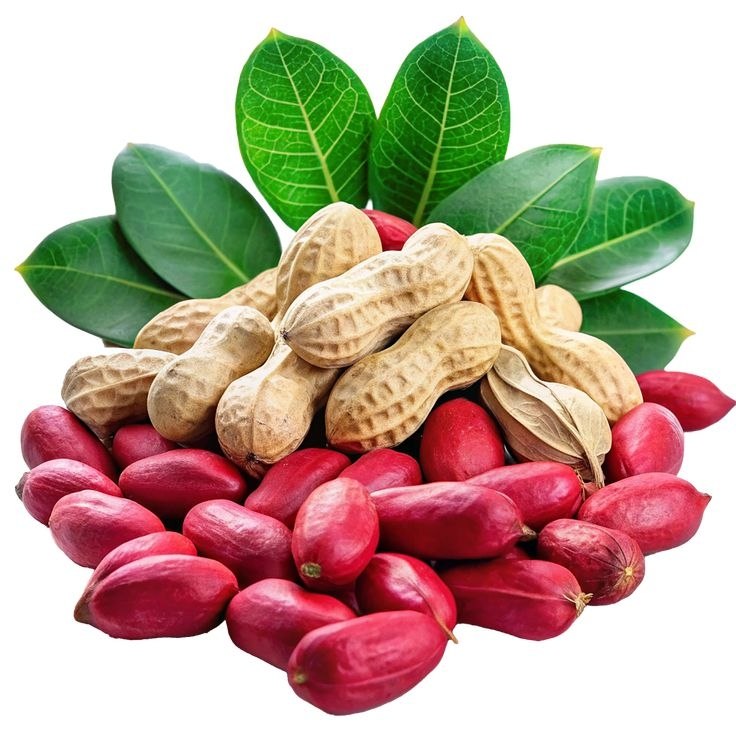 Peanuts